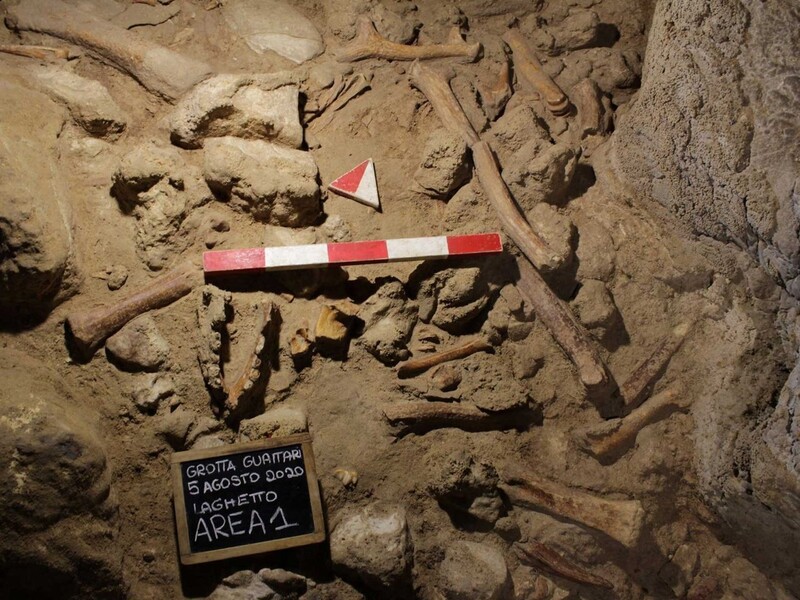 이탈리아 과타리동굴에서 발견된 네안데르탈인의 화석화된 유골. 이탈리아 문화부 제공