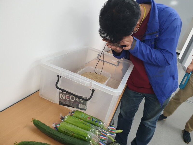 한 농민이 천적을 살피고 있다. 박임근 기자