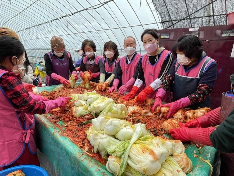 생활개선 음성군연합회 회원 등이 김장 나눔 행사를 하고 있다. 음성군 제공