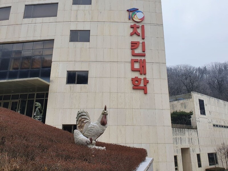 경기도 이천에 위치한 비비큐 부설 치킨대학 건물 앞에 닭 조형물이 설치돼 있다.