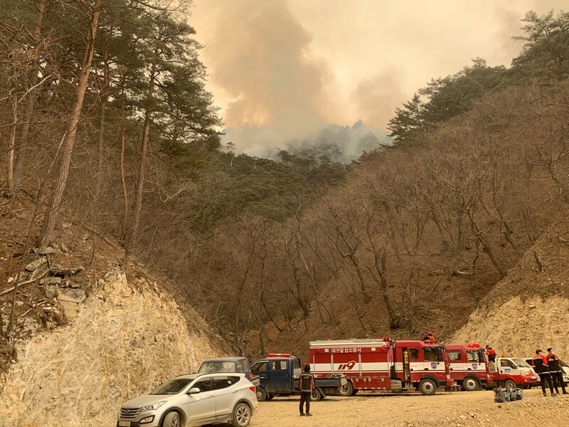 경북 울진, 강원 삼척 산불 닷새째인 8일 경북 울진군 금강송면 소광리 금강송 군락지 보호구역까지 불길이 번져 소방당국이 방어선을 구축하고 있다. 경북소방본부 제공