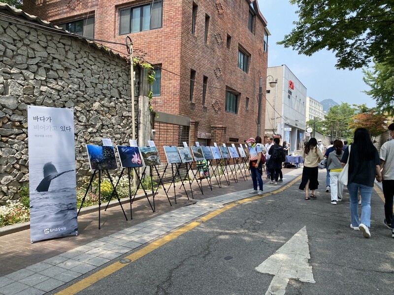 환경운동연합이 22일 서울공예박물관 앞 율곡로3길에서 연 ‘바다가 비어가고 있다’ 사진전을 시민들이 살펴보고 있다. 환경운동연합 제공
