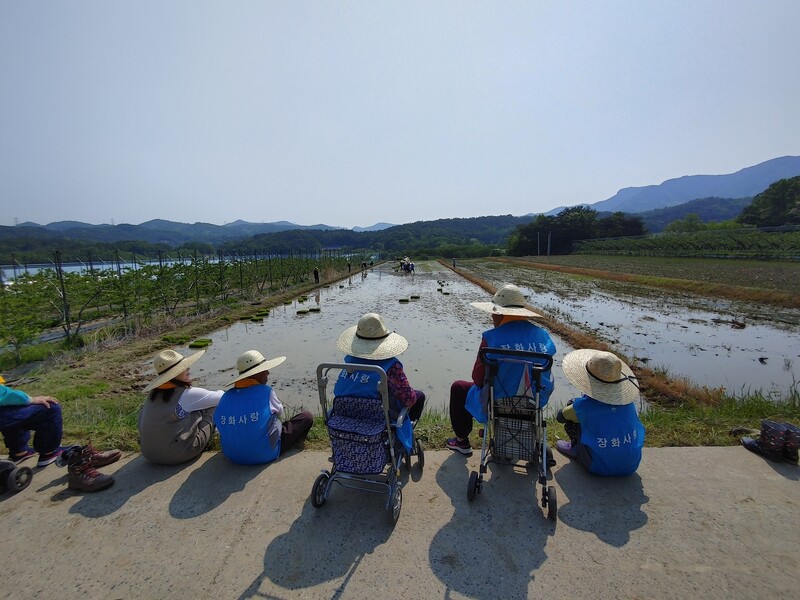 충북 옥천군 이원면 장화리 손모내기 축제에 나온 어르신들. 필자 제공