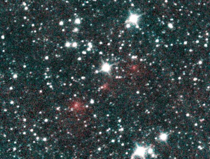 3월27일 처음 관측됐을 당시의 니오와이즈 혜성. 니오와이즈 탐사 위성의 열감지 적외선 카메라에 보풀처럼 부풀어 오른 일련의 빨간색 점들로 나타났다. 나사 제공