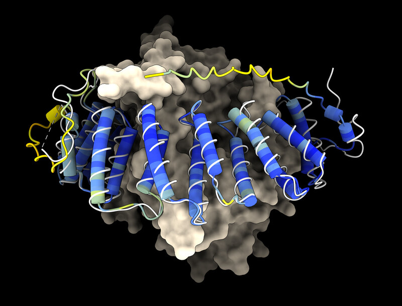 메타의 ESM폴드가 예측한 단백질 구조의 하나. 메타 제공