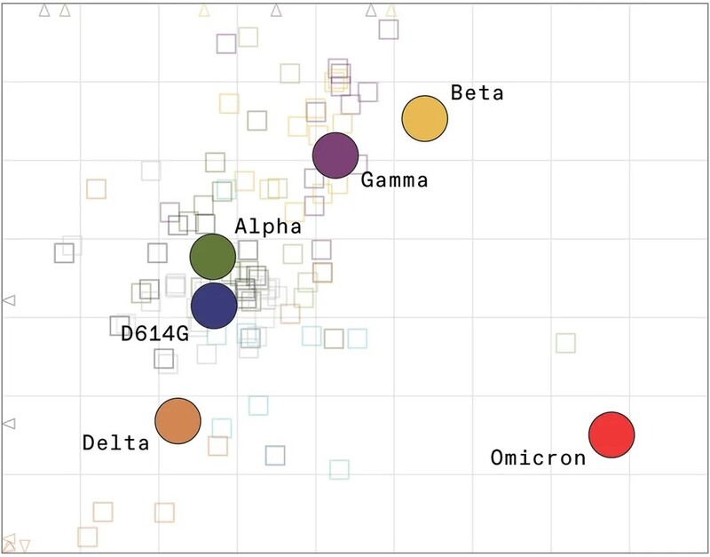코로나19 바이러스 변이의 항원 지도. 오미크론만이 멀찌감치 떨어져 있다. biorxiv 제공