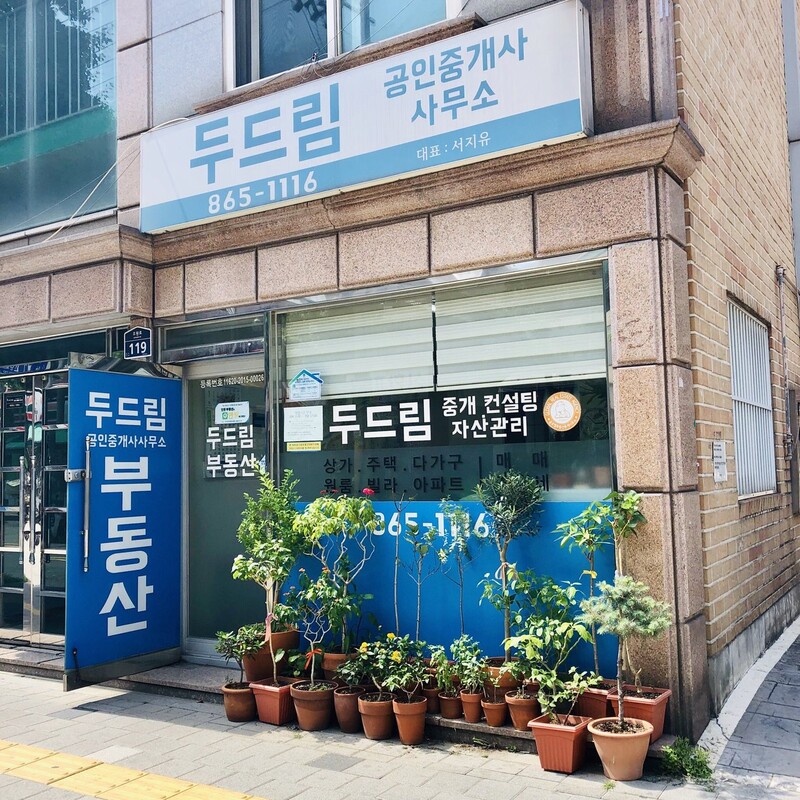 서지유 제공