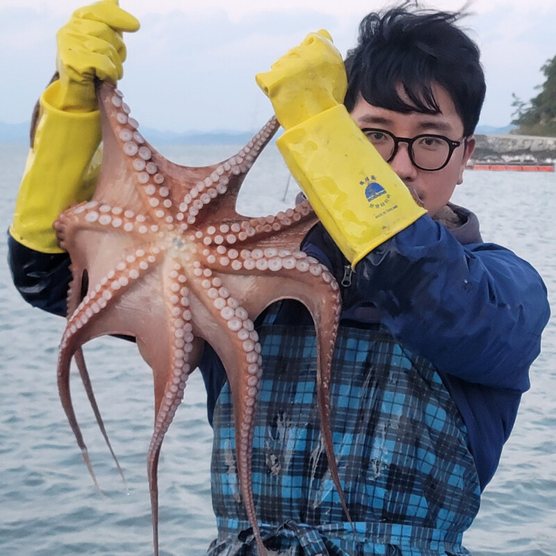 전남 고흥 우두어장 대진1호 어부가 직접 잡은 돌문어를 보이고 있다. 파도상자 제공