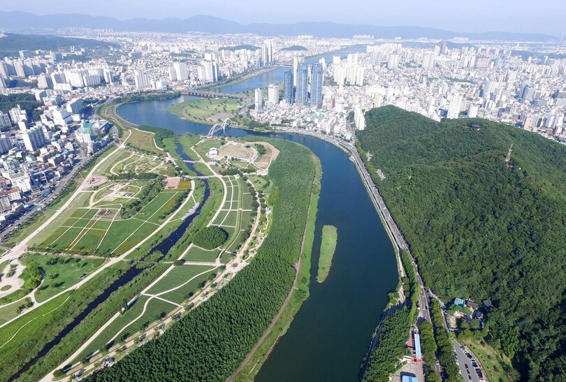 울산 태화강 국가정원 전경.  울산시 제공