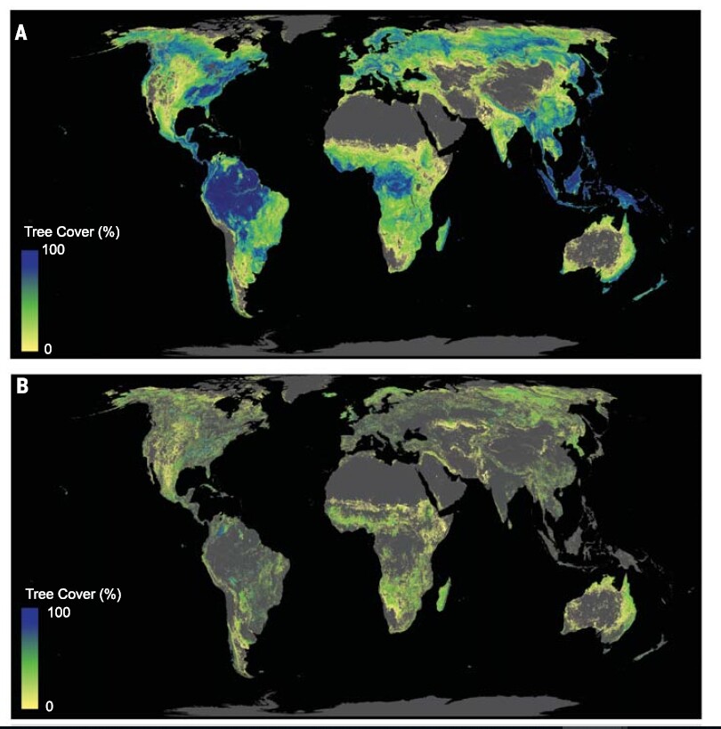 스위스 취리히공대 연구팀이 지구에 만들 수 있는 삼림 분포를 추정한 지도.(위) 현재 식생하고 있는 삼림을 제외하고 추가로 숲을 회생시킬 수 있는 지역을 추산한 지도(아래). <사이언스> 제공