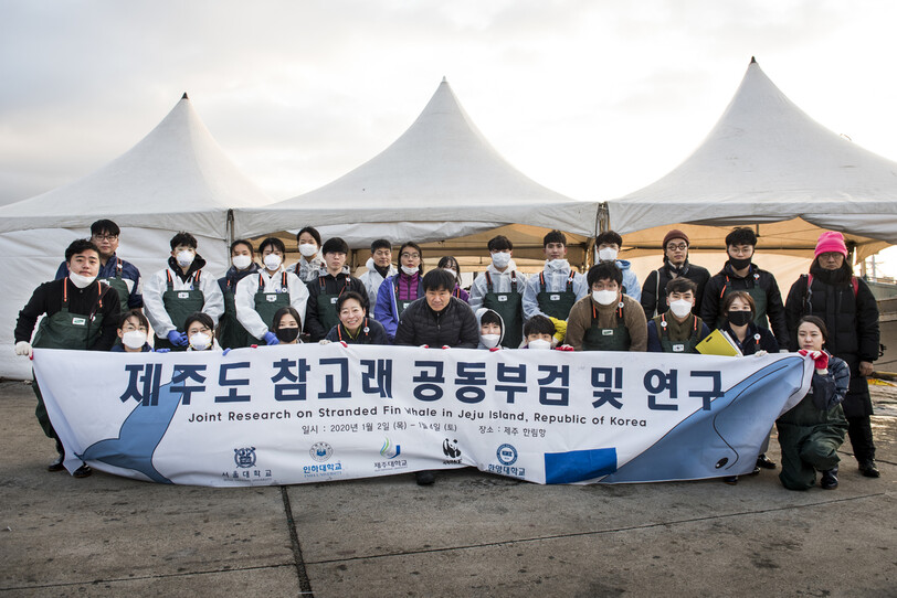 참고래 공동 부검 연구에 참여한 연구진들. 사진 유용예 작가·WWF 제공