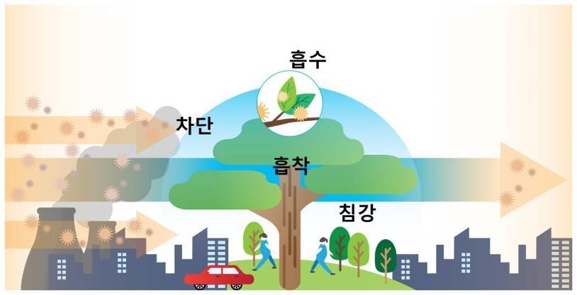 강원도보건환경연구원이 강원도 대표 휴양림 3곳을 대상으로 대기질 조사를 했는데 휴양림의 초미세먼지 농도가 같은 기간 인근 도심보다 모두 높다는 결과가 나와 원인에 관심이 쏠리고 있다. 그림은 숲의 미세먼지 저감 개념. 국립산림과학원 제공&nbsp;