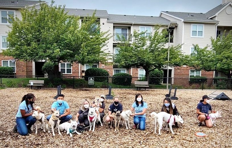 연두, 두부 보호자 티나 리씨는 2019년부터 지역 진돗개 가족들과 모임을 조직해 한 달에 한 번씩 만나고 있다. 티나 리씨 제공