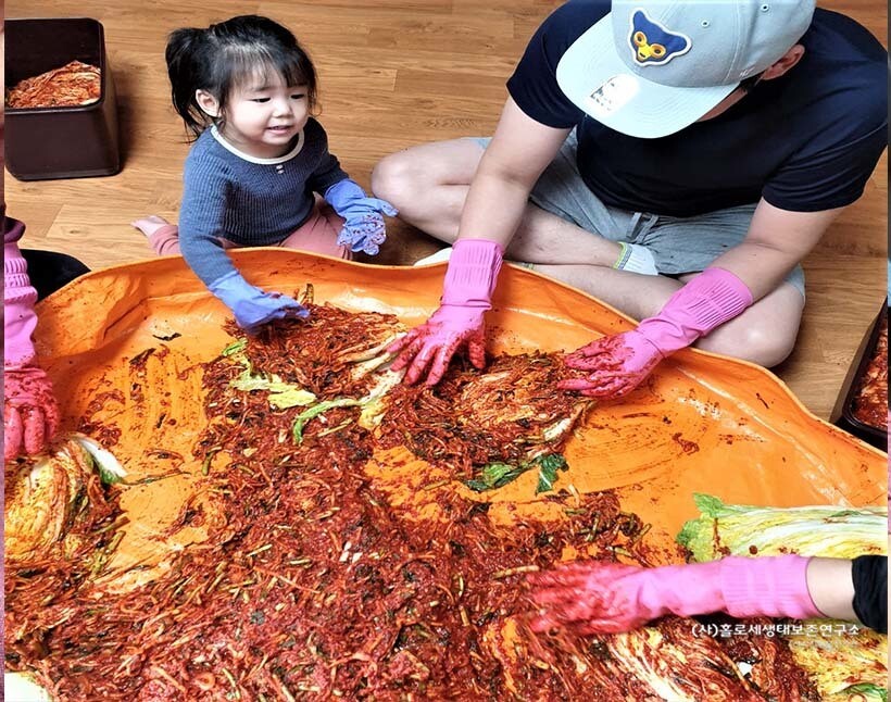 가족과 함께 하는 김장. 사람의 월동 준비다.