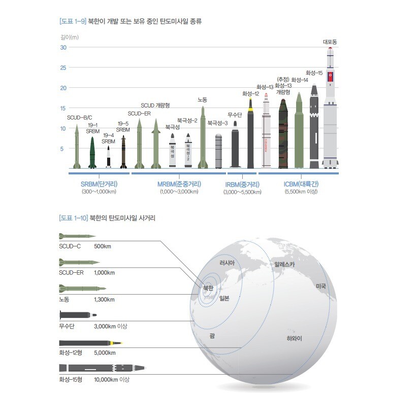 북한 탄도미사일 종류. &lt;2020 국방백서&gt; 갈무리 ※ 이미지를 누르면 크게 볼 수 있습니다.