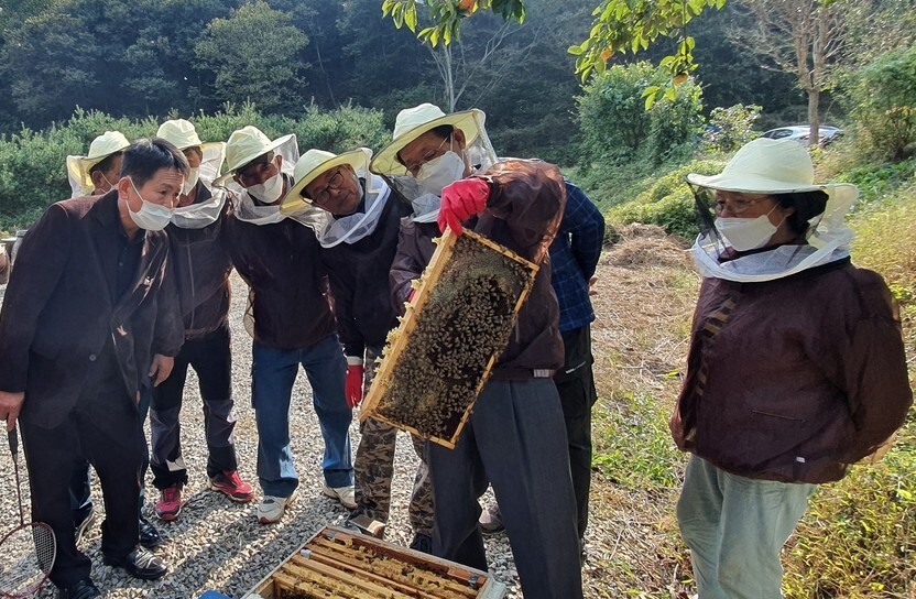 당진시가 양봉농가를 대상으로 채밀과 꿀벌 관리 등을 교육하고 있다. 당진시 제공