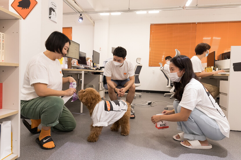 서울 마포구 뉴닉 사무실에서 직원들이 동료와 함께 출근한 반려견 감사에게 간식을 주고 있다. 박승화 &lt;한겨레21&gt; 기자 eyeshoot@hani.co.kr