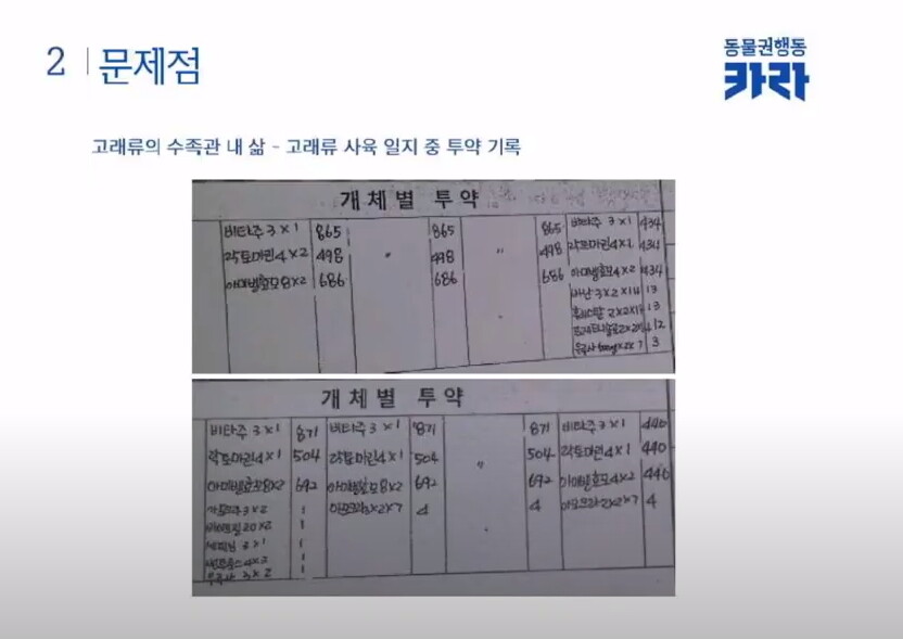 국내 수족관에서 폐사한 20마리 돌고래들의 주된 폐사원인은 패혈증, 폐렴, 신장 질환 등이었다.