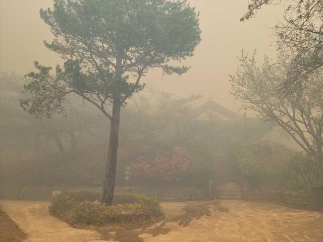 11일 연기가 자욱한 경포대 인근 모습. 문화재청 제공