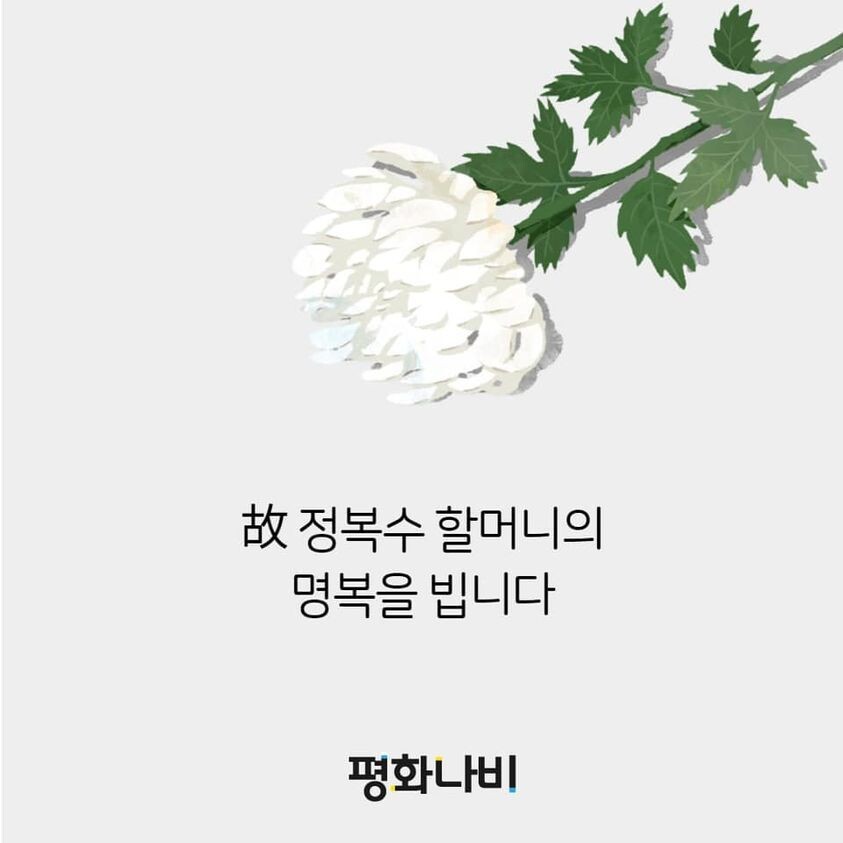 평화나비 페이스북 갈무리