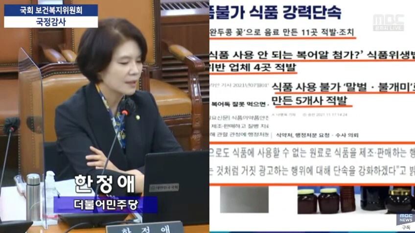 7일 국회 보건복지위 소속 한정애 더불어민주당 의원이 식품의약품안전처 국정감사에서 식용 개 관리 감독 소홀에 대해 비판하고 있다. 방송 갈무리.