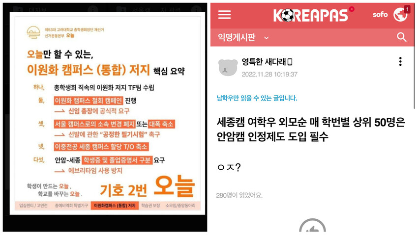 지난달 고려대학교 익명 온라인 커뮤니티 에브리타임(왼쪽)과 고파스(오른쪽)에 올라온 게시글. 독자 제공