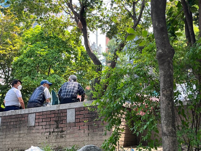 19일 오전 서울 용산구 동자동 한 공원에서 더위를 피해 쉬고 있는 주민들. 곽진산 기자