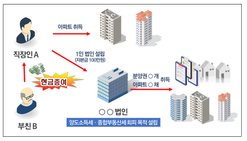 직장인 ㄱ씨가 1인 법인으로 부동산 투기를 한 사례. 국세청 제공. ※ 이미지를 누르면 크게 볼 수 있습니다.