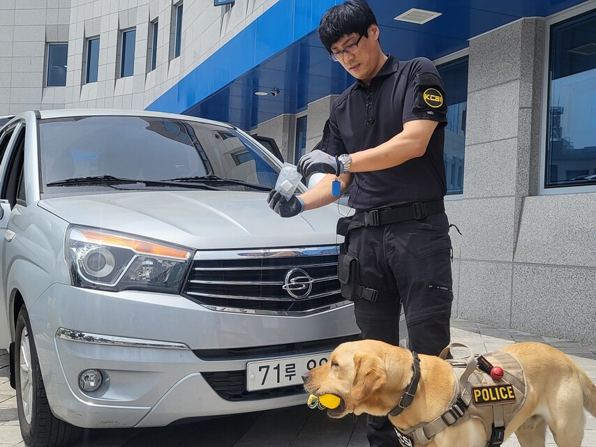 24일 오전 11시께 경기북부경찰청 별관 앞에서 진행된 마약류 인지 훈련 중 마약탐지견 폴리(6)가 차량 번호판 위에 숨겨진 마약류 코튼볼을 찾았다. 이승욱 기자