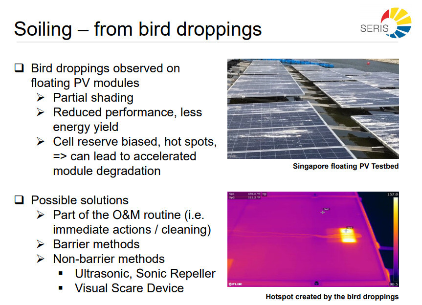 싱가포르 태양에너지연구소 자료. 수상 태양광 발전 테스트베드를 통해 패널 위에 떨어진 새똥 관련 해결책을 연구한다.