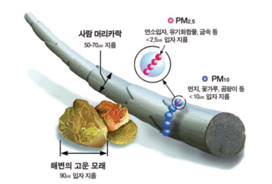 출처: 환경부 에어코리아