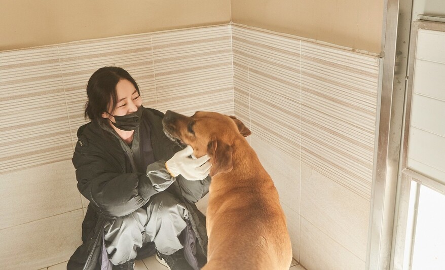 김효진씨가 견사 청소 중에 만난 개 ‘고구마’와 인사를 나누고 있다. 사진 오보이 제공