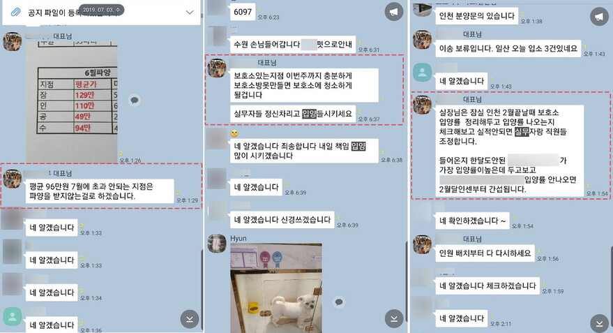 업체 대표는 전 지점의 직원이 들어가 있는 SNS 단체 방에서 위탁동물 매출을 압박하거나, 빠른 입양을 지시했다. 제보자 제공