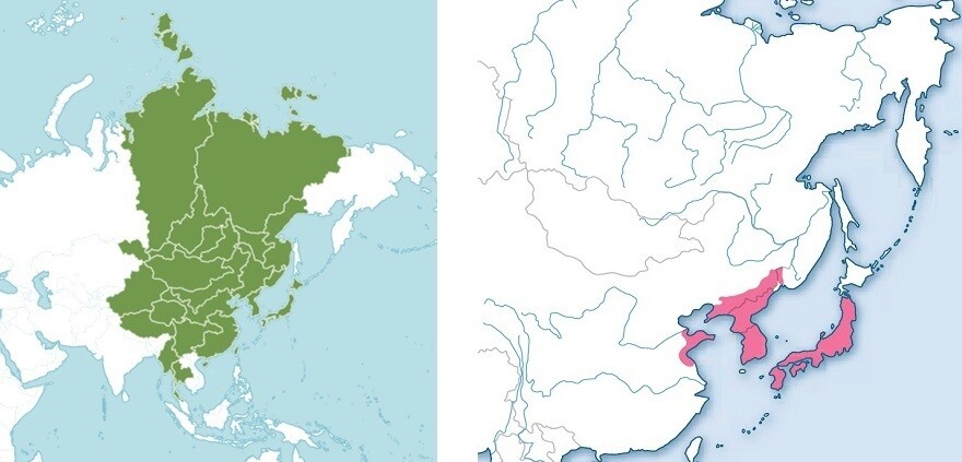 부싯깃고사리는 동아시아 전역에 분포하지만(왼쪽) 소나무는 우리나라를 중심으로 일본과 중국·러시아 일부 지역에 자생한다. 국립수목원 제공.