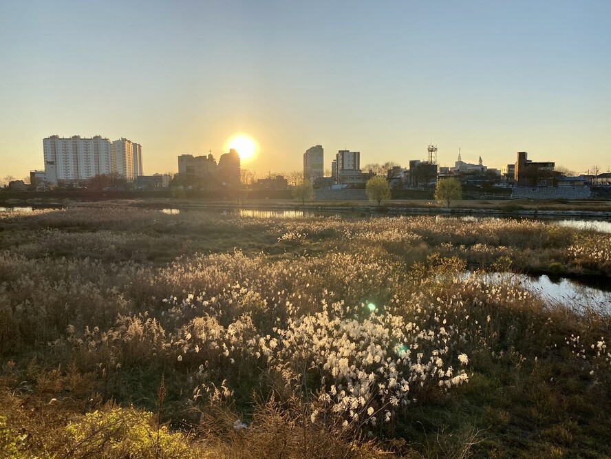 은서란씨와 친구 이아무개씨가 함께 사는 집 앞의 강변 풍경. 은씨 제공