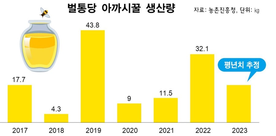 그래픽_나성숙 영상소셜팀 ※ 이미지를 누르면 크게 볼 수 있습니다.