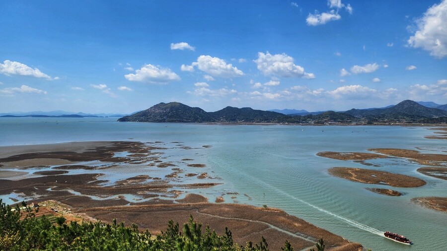 순천만습지 용산전망대에서 바라본 습지와 순천만 전경. 만조여서 생태체험선이 운항하고 있었다.