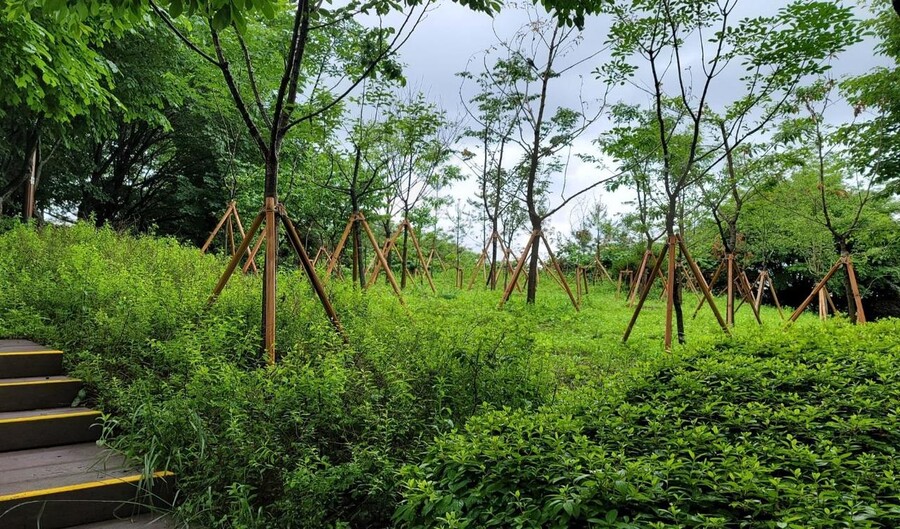 서울시가 북한산·관악산 등 일대에 조성한 1차 바람길숲. 서울시 제공