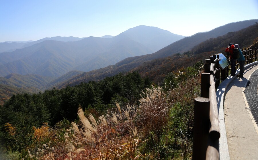 지리산 정령치. 한겨레 자료