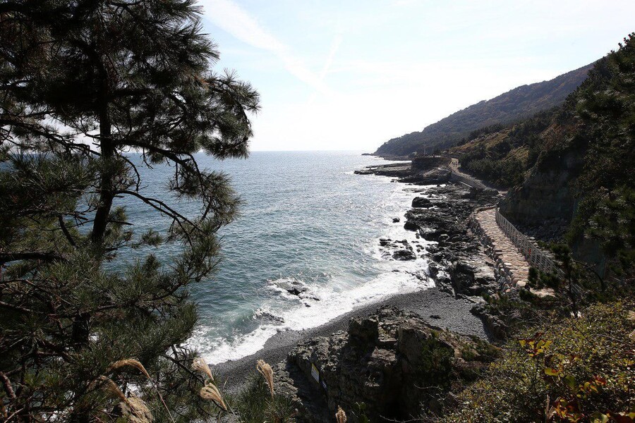 부산 이기대 공원 주변 바다. 환경운동연합 제공