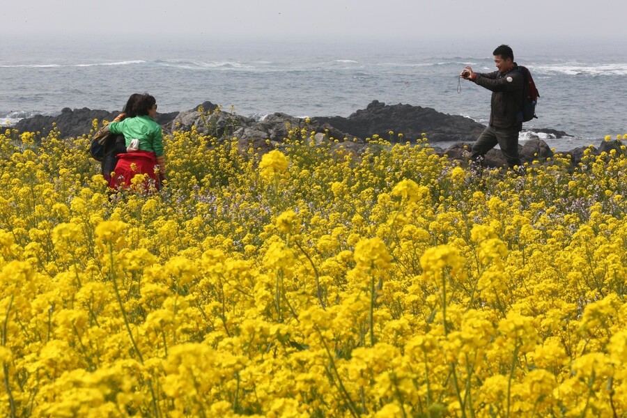 아름다운 제주. &lt;한겨레&gt; 자료 사진