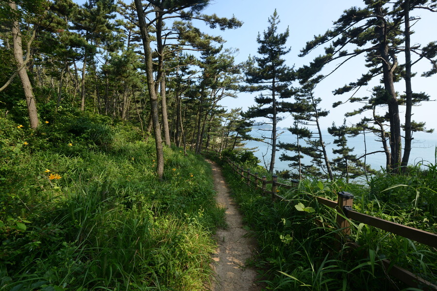 충남 보령시 삽시도 둘레길. 한국관광공사 제공