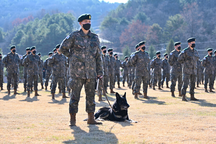 8일 육군32보병사단에서 군견 달관이의 은퇴식이 진행되고 있다. 육군 제공