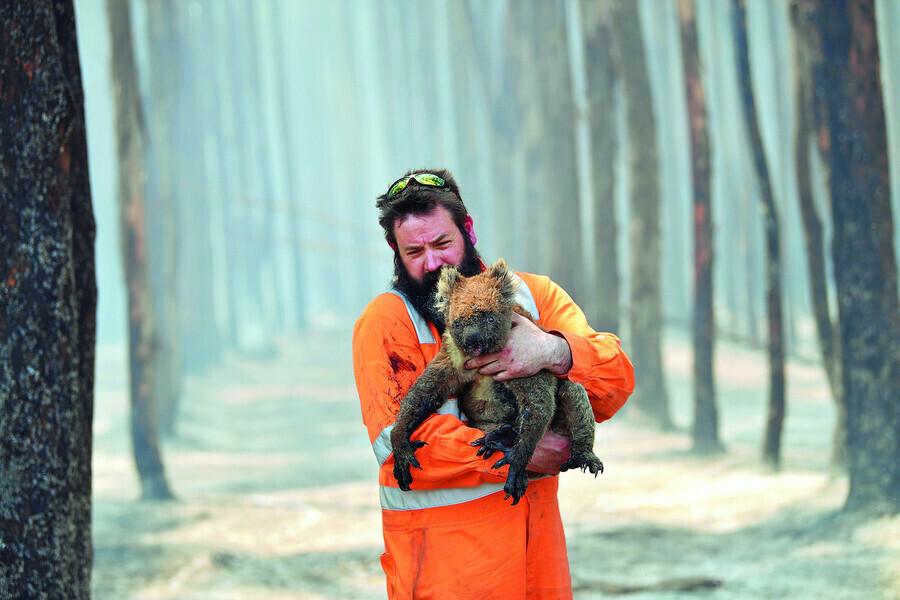 2020년 1월 오스트레일리아 산불을 진화하며 한 구조대원이 코알라 한 마리를 안고 있다. 2019년 발생한 이 산불은 8개월 만에 겨우 잡혔다. 케이프보다/EPA 연합뉴스