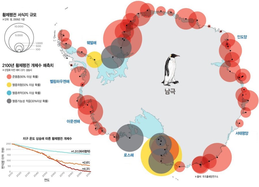 그래픽_영상소셜팀 조정은