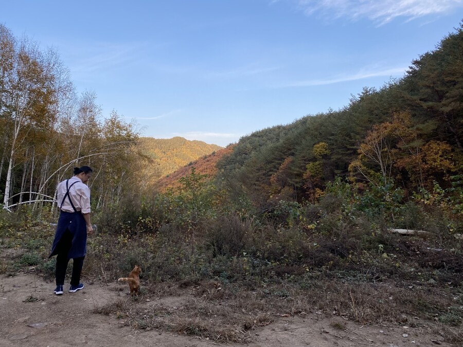 마당에 사는 고양이 라미가 송태훈씨 옆에서 놀고 있다. 신소윤 기자