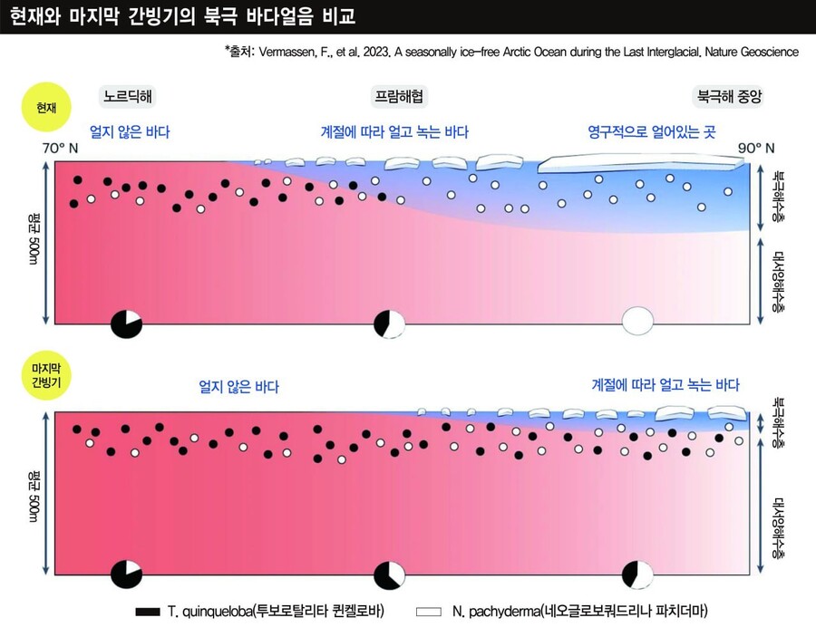 그래픽_영상소셜팀 온수애