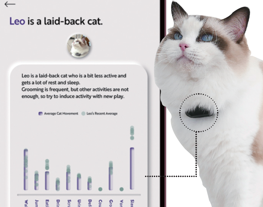반려동물의 목에 웨어러블 기기인 ‘캣모스’를 착용시키면 블루투스로 연동된 전용 애플리케이션을 통해 반려동물의 활동량을 모니터링한 리포트를 제공한다. 이를 통해 소모한 칼로리와 이동 거리, 휴식·수면 시간 등을 알 수 있으며, 활동량에 큰 변화가 있을 때는 알림을 주어 병원에 방문하거나 상태를 살펴볼 수 있도록 제안한다. 사진 제공 우주라컴퍼니