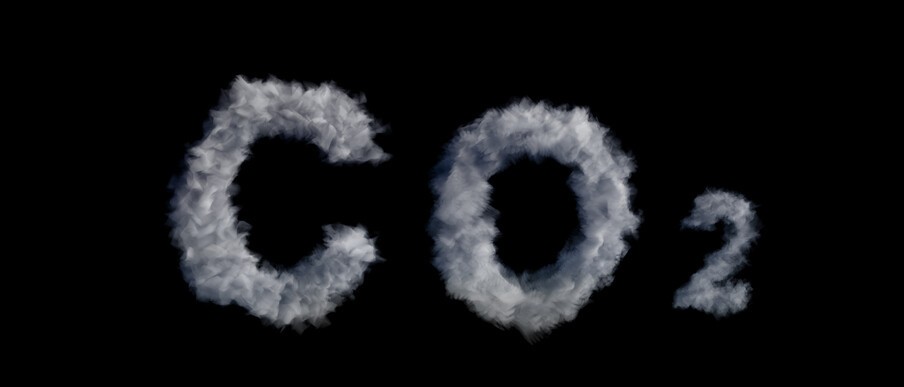 200년 버티는 이산화탄소, 코로나에도 전세계 농도 올랐다