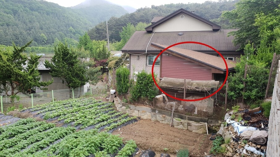 ‘평화와 치유가 만나는 집’ 뒤쪽에 있는 밤색 가건물(빨간 동그라미). 윤미향 전 정의기억연대 이사장의 아버지 윤아무개씨가 이곳에 거주하며 쉼터를 관리했다. 오연서 기자